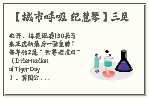 江添在盛望里面塞东西